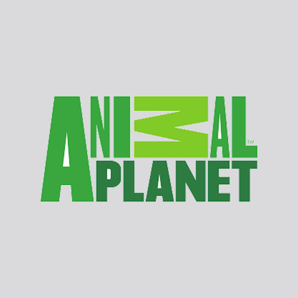 Ver Animal Planet Gratis